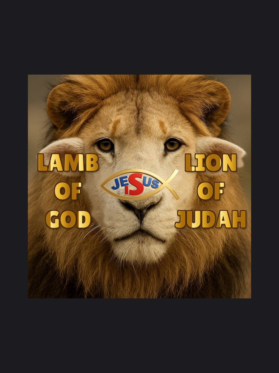 Lamb of God · Lion of Judah kids T-shirt